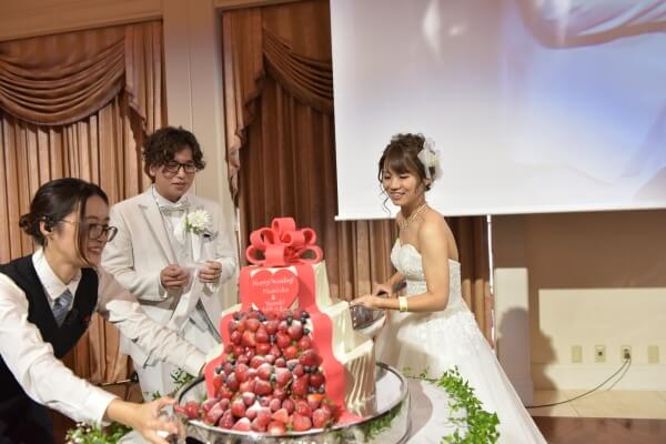 ファーストバイト